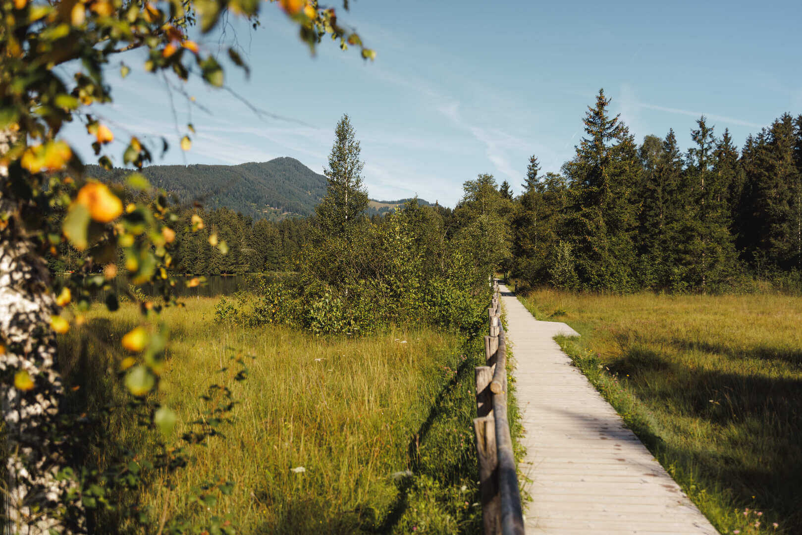 Rundwanderung-Sommer-Alpenhotel-Kitzbuehel-Schwarzsee