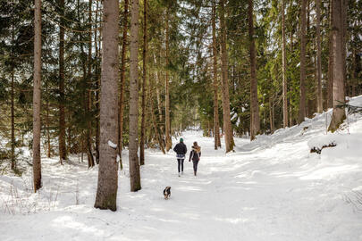 Urlaub-mit-Hund-Winter-36-Alpenhotel-Kitzbuehel-Schwarzsee