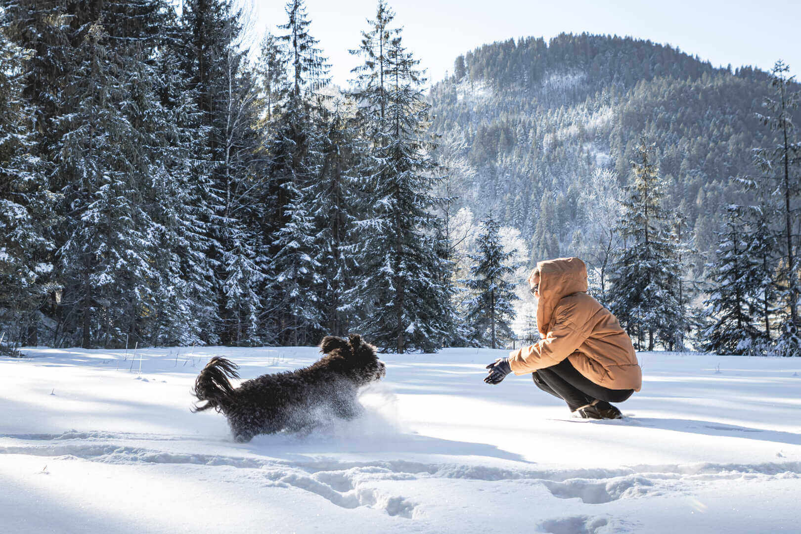 Urlaub-mit-Hund-Winter-18-Alpenhotel-Kitzbuehel-Schwarzsee